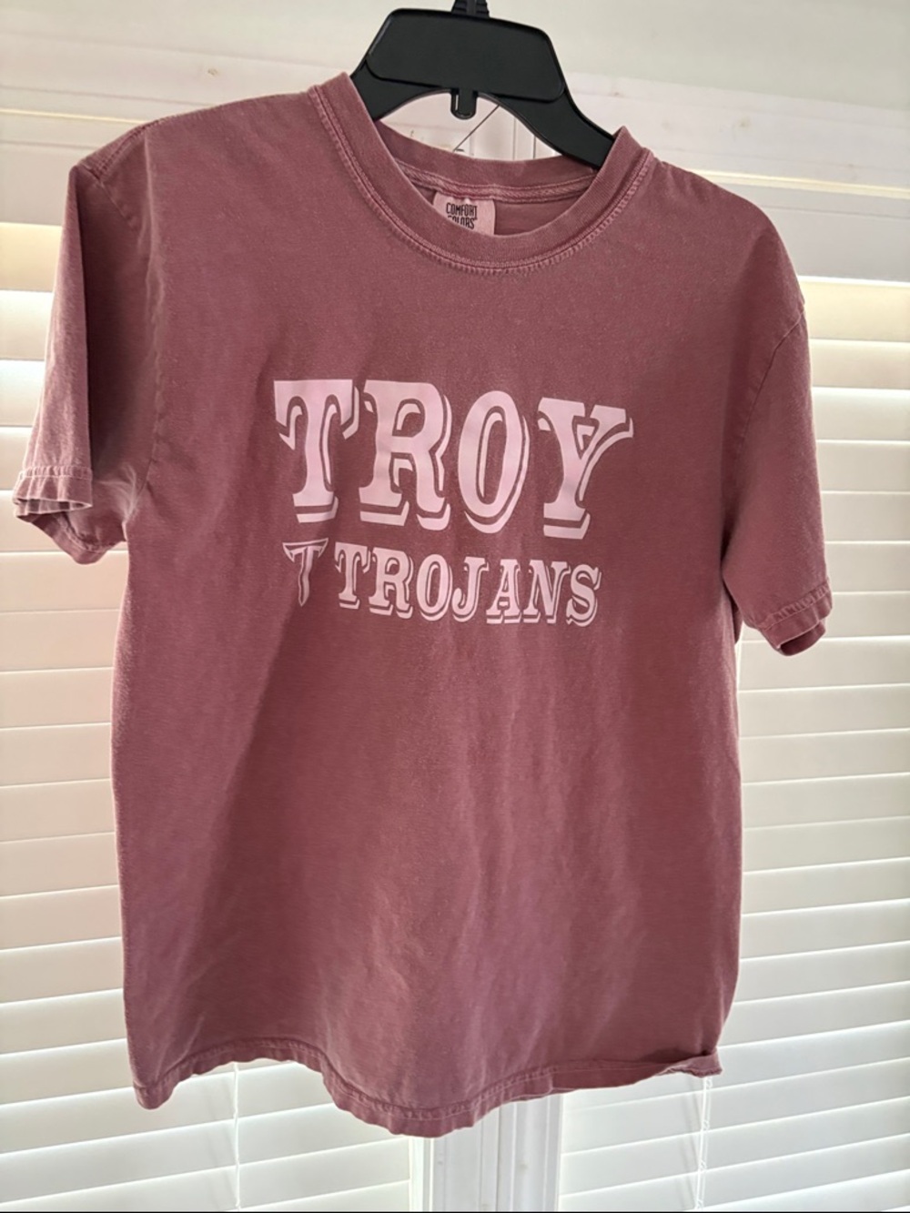 Comfort Colors Dusty Rose Troy Trojans Short Sleeve Tee